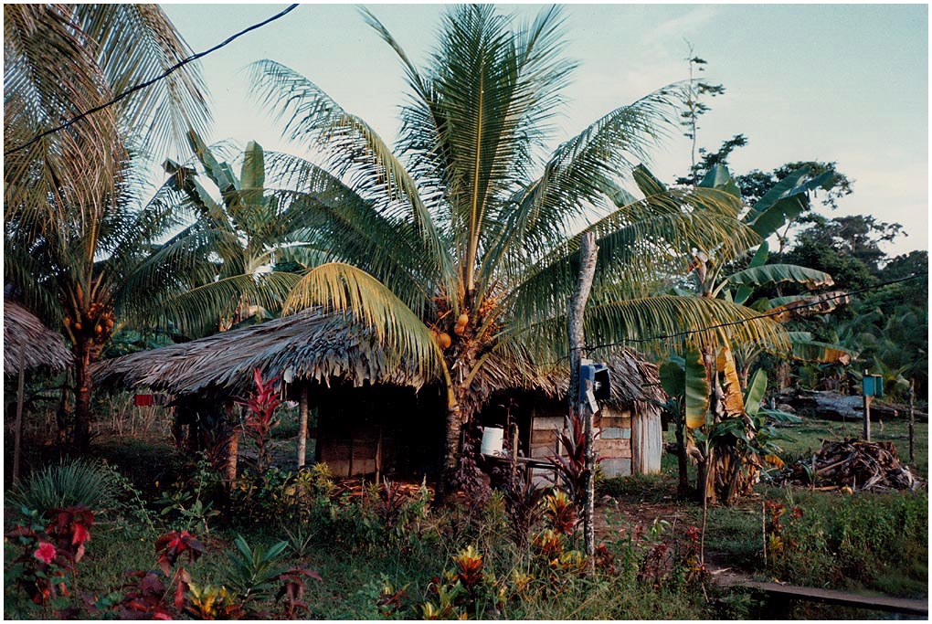 Tortuguero 1993