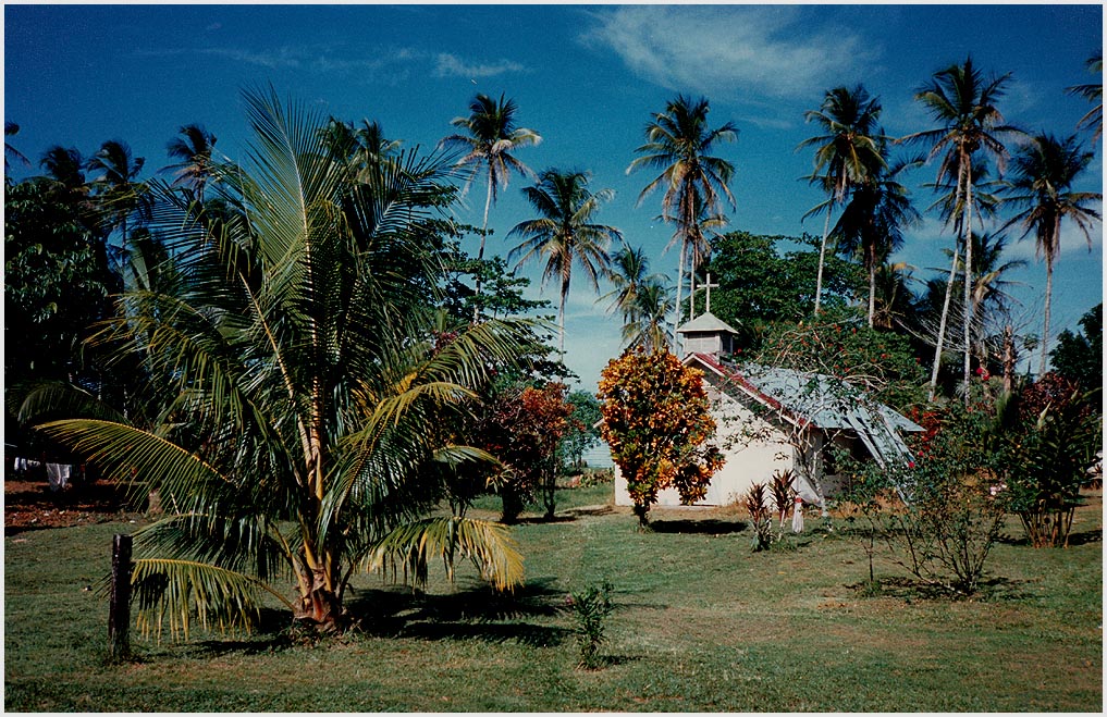 Turtuguero Costa Rica