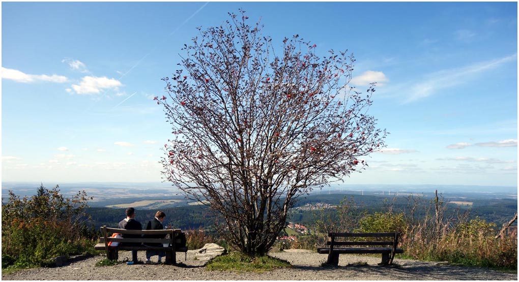 Am Groen Feldberg September 2019