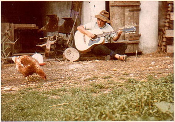 Höfner 12 - saitig in Weitendorf/Kärnten