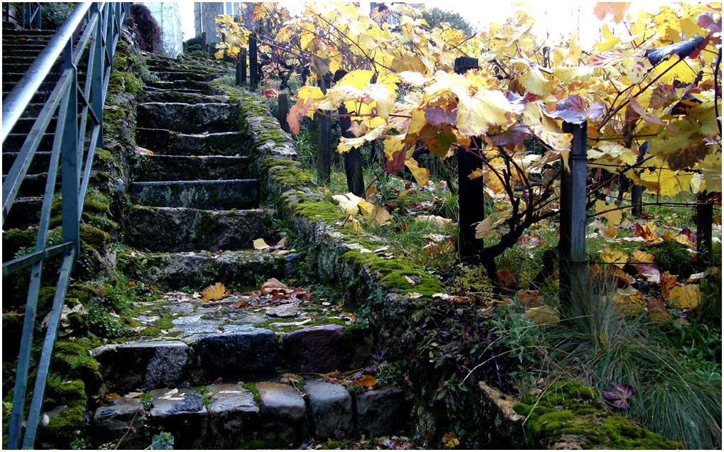 Montmartre