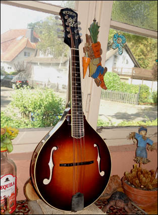 Weber Absaroka A - Mandoline